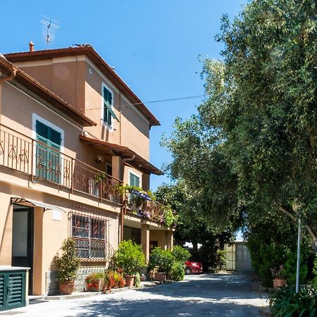 Agriturismo Giorgi Appartamenti In Riviera Ligure 阿尔本加 外观 照片