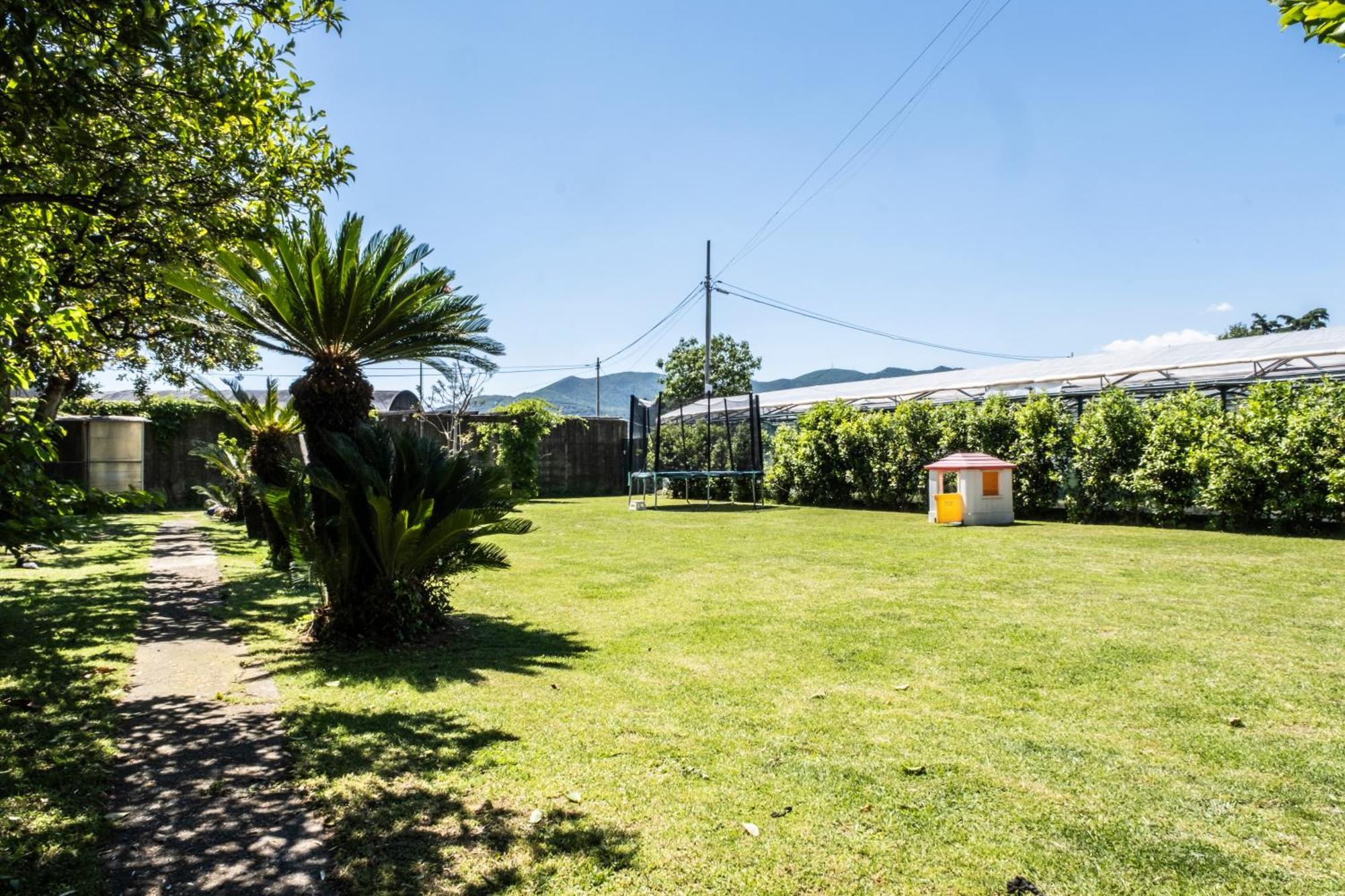 Agriturismo Giorgi Appartamenti In Riviera Ligure 阿尔本加 外观 照片