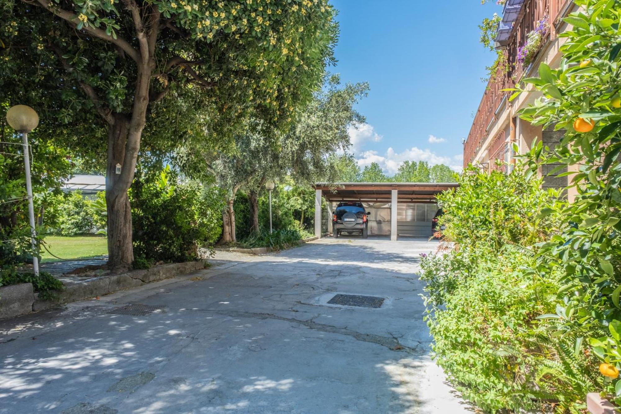 Agriturismo Giorgi Appartamenti In Riviera Ligure 阿尔本加 外观 照片