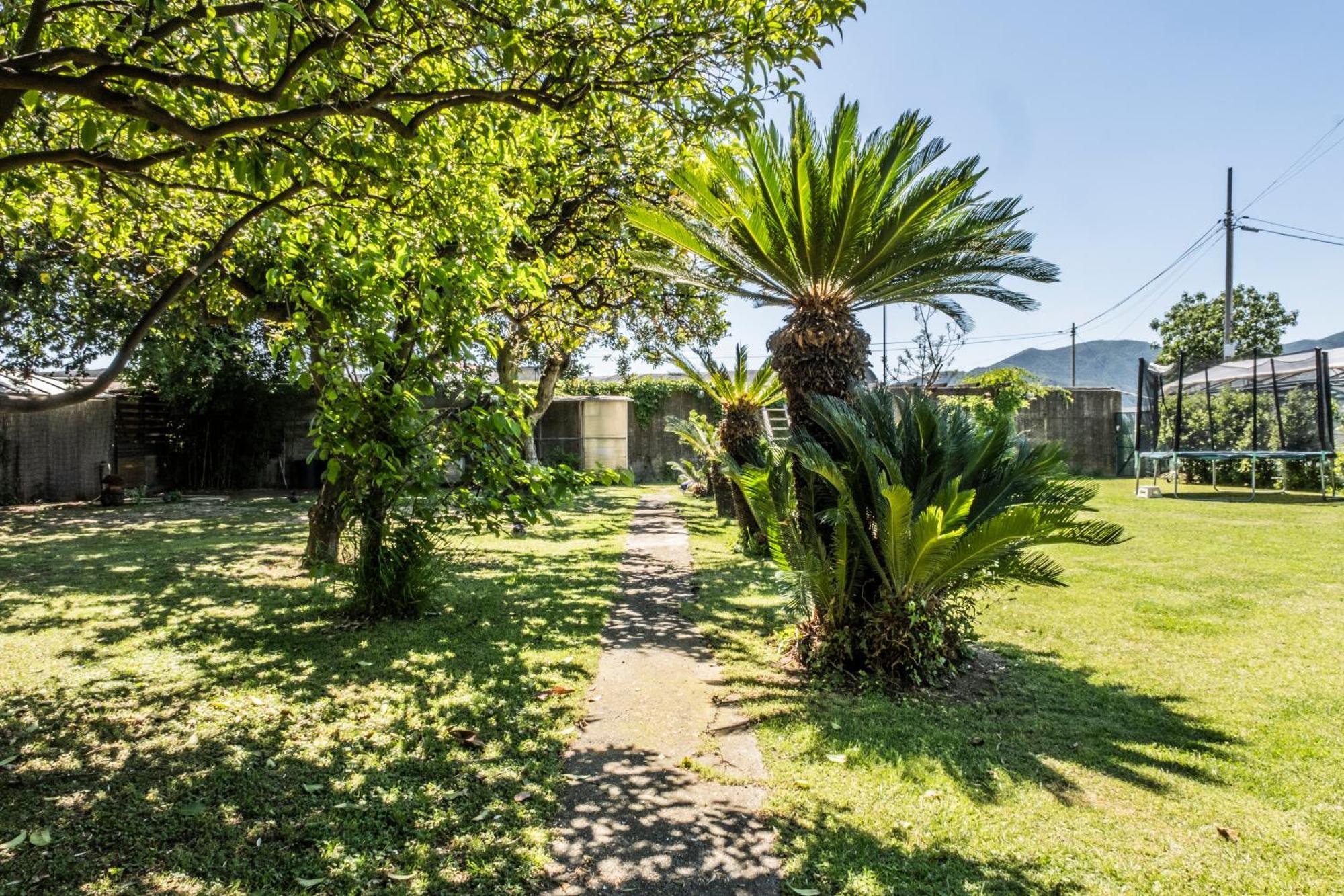 Agriturismo Giorgi Appartamenti In Riviera Ligure 阿尔本加 外观 照片