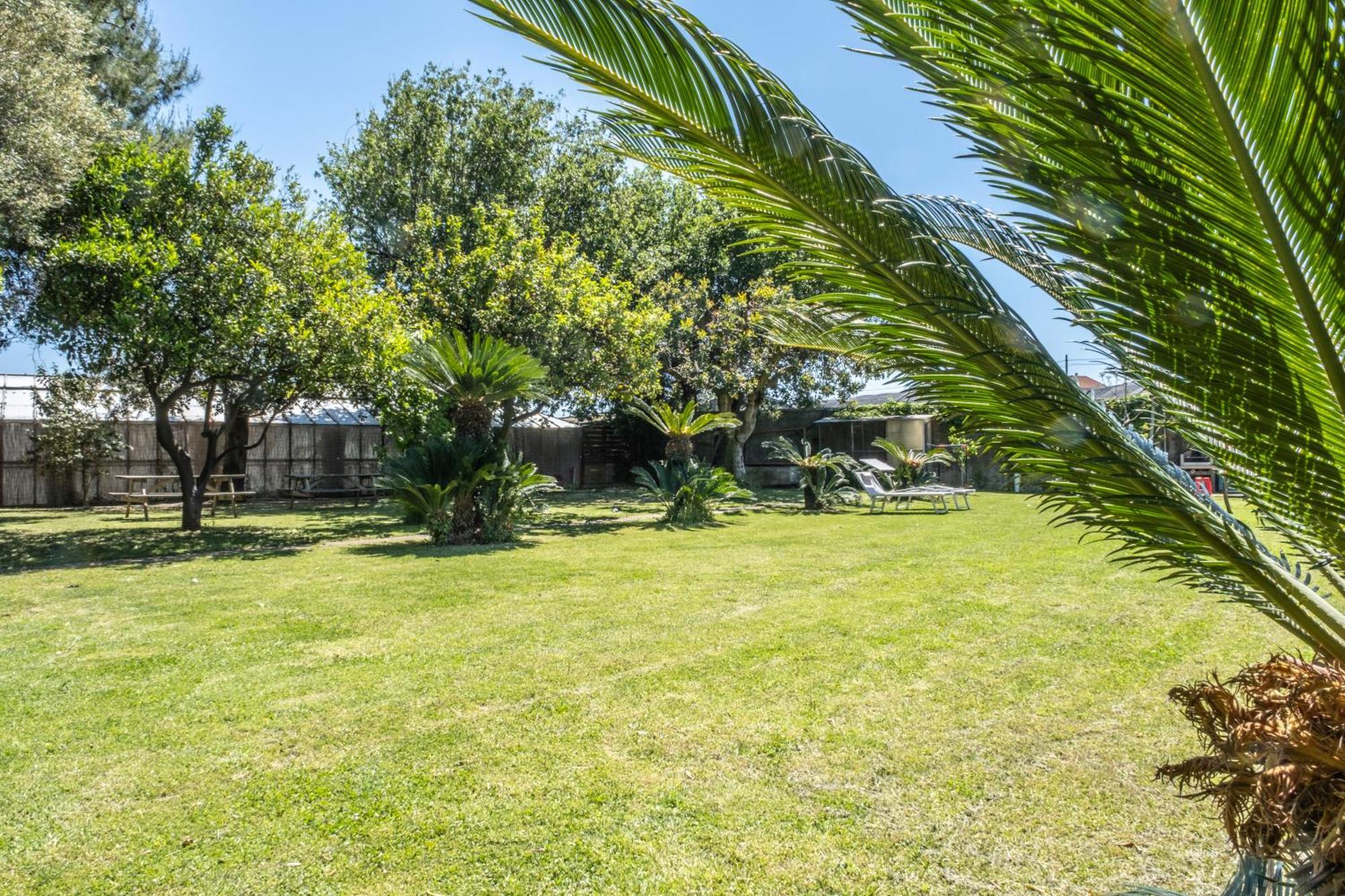Agriturismo Giorgi Appartamenti In Riviera Ligure 阿尔本加 外观 照片