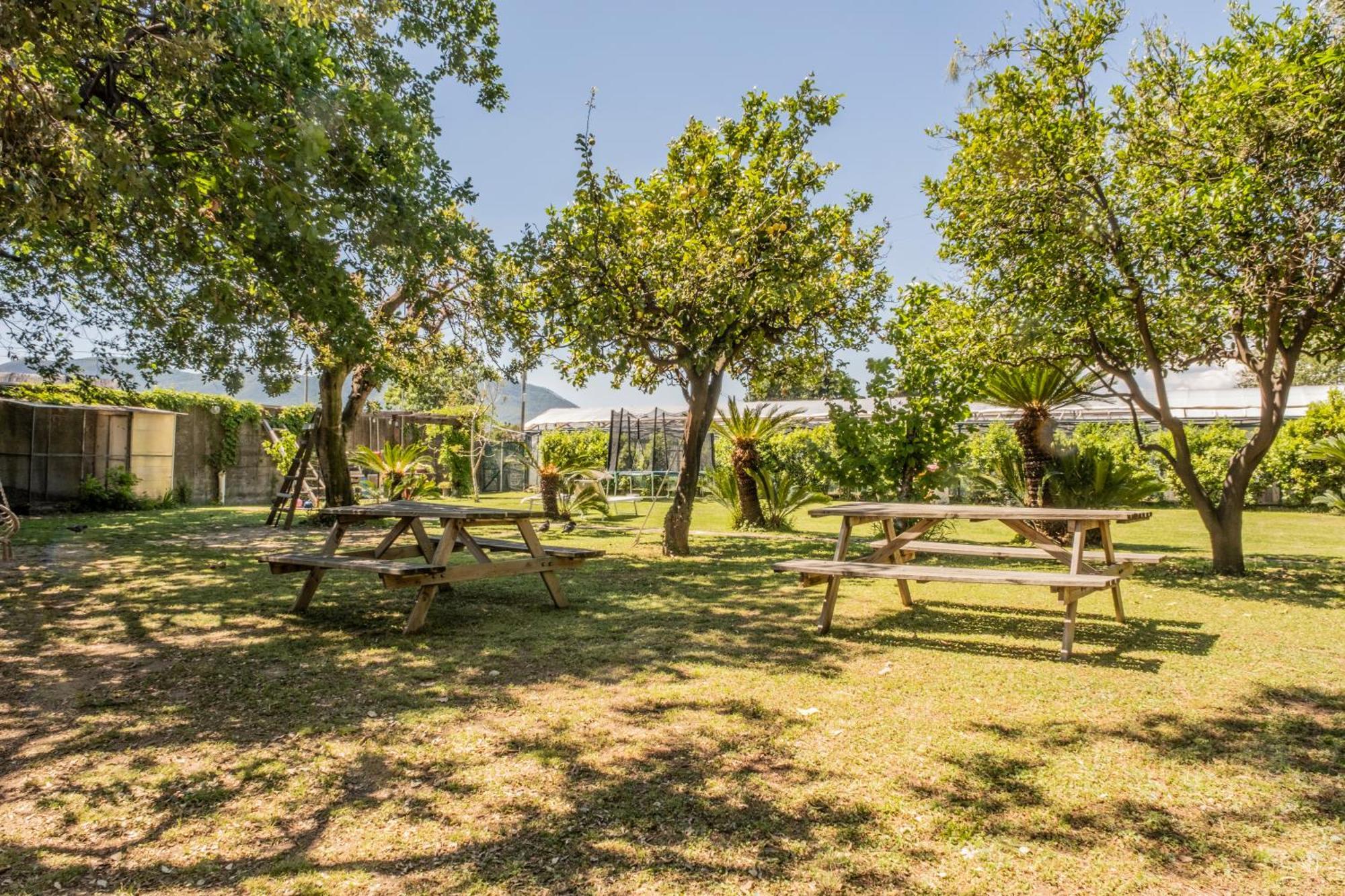 Agriturismo Giorgi Appartamenti In Riviera Ligure 阿尔本加 外观 照片