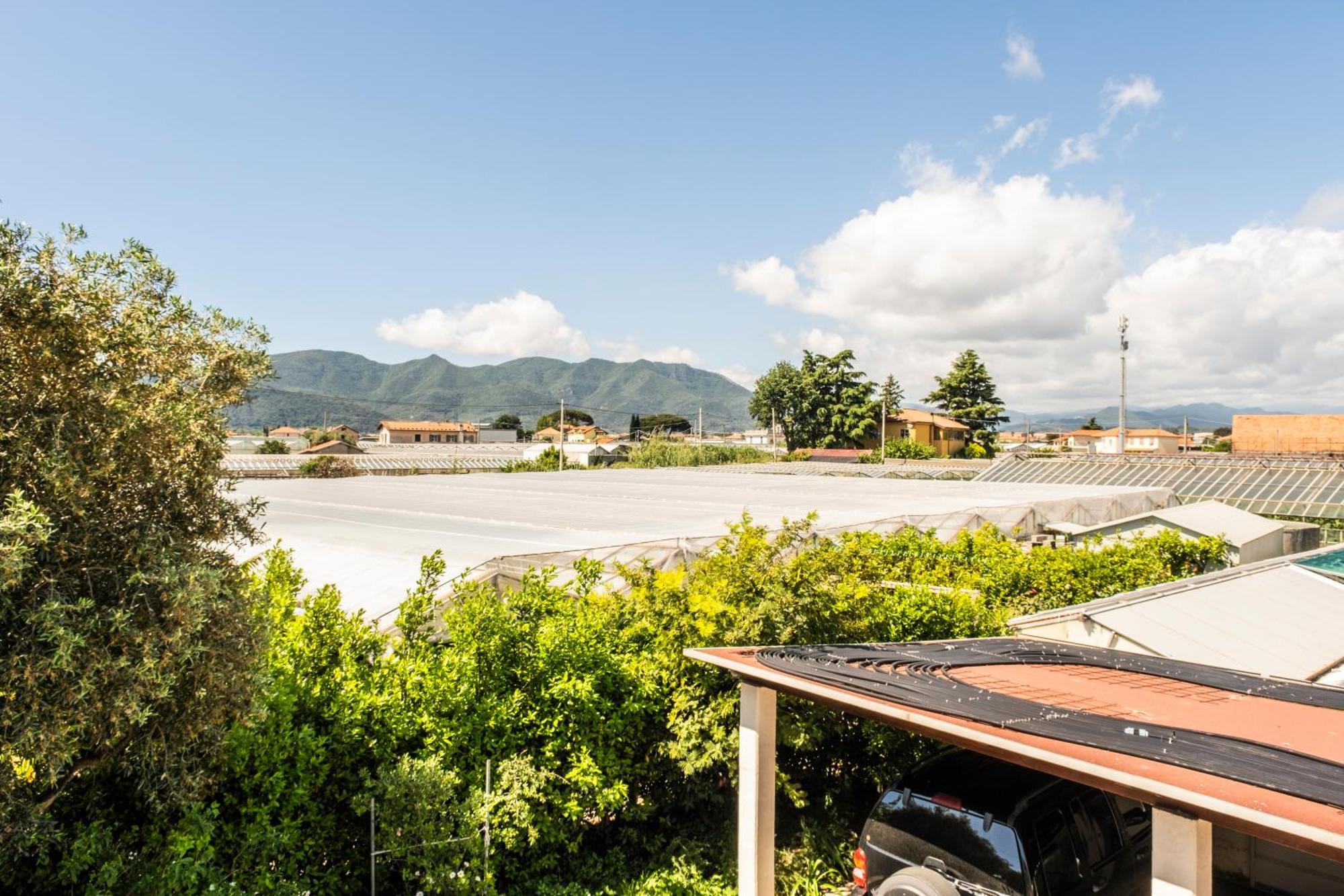 Agriturismo Giorgi Appartamenti In Riviera Ligure 阿尔本加 外观 照片
